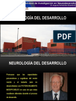 Neurologia del Desarrollo (1)