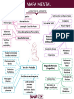 Mapa Mental ASSISTÊNCIA AO PARTO