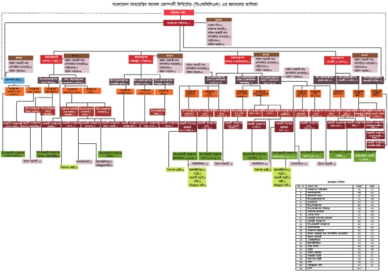 Organogram BSCCL | PDF