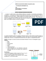 ESCOLA DE REFERÊNCIA EM ENSINO MÉDI1