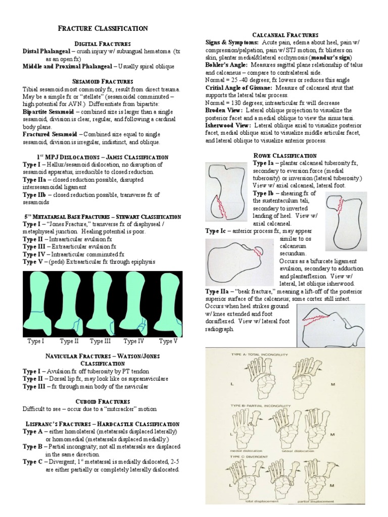 Fracture Classification Condensed | PDF | Ankle | Anatomical Terms Of ...