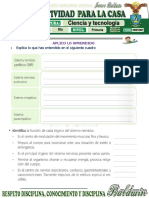 6... TAREA...Sistema Nervioso Periferico ... (2)