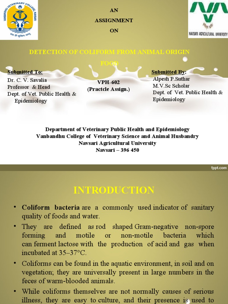 Detection of Coliform From Animal Origin Food: AN Assignment ON | PDF ...