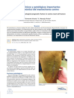 Factores Clínicos y Patológicos Importantes en El Pronóstico Del Mastocitoma Canino