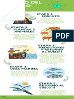 CICLO BIOGEOQUIMICO DEL FOSFORO - Grupo 8