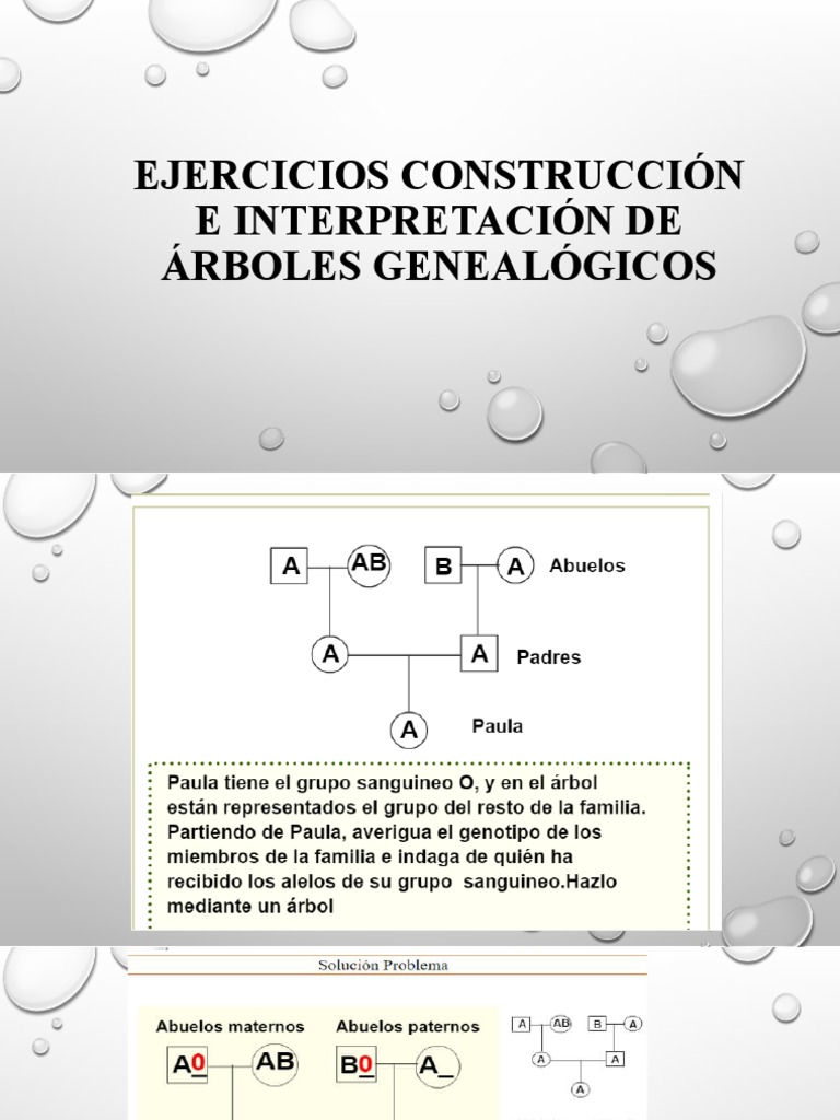 Ejercicios de Árboles Genealógicos | PDF | Ciencia y matemáticas