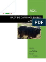 cabras