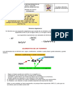 Terminos Semejantes 2021