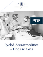 Eyelid Abnormalities Dogs & Cats