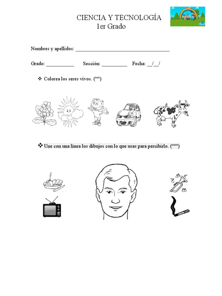 Actividades de Ciencia y Tecnología 1er Grado | PDF | Métodos y ...