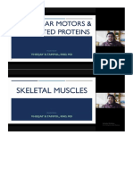 Cell and Molecular Motors