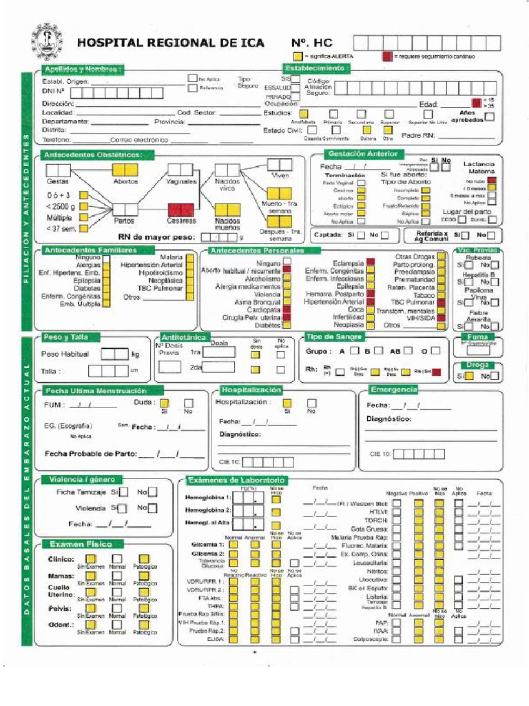 Formato de H.C.P | PDF