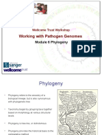 Working With Pathogen Genomes: Module 6 Phylogeny