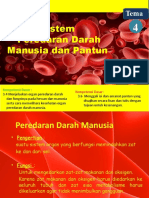 Peredaran Darah