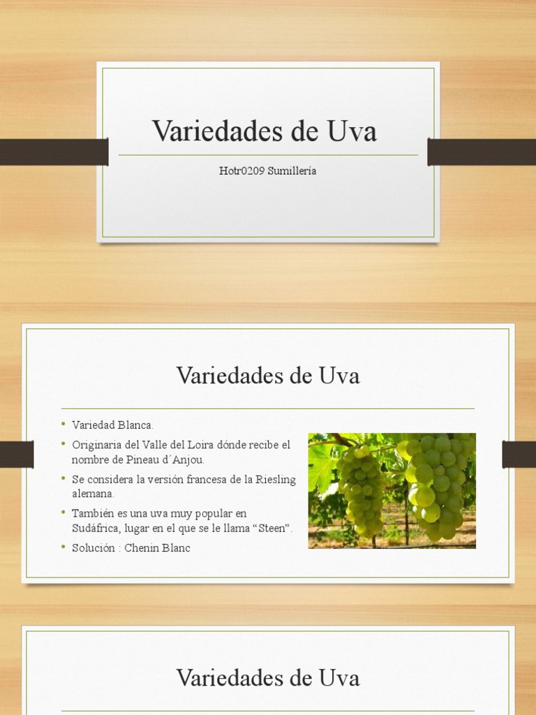 Variedades de Uva | PDF | Uva | Variedades de uva