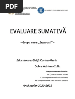 Evaluare sumativa grupa mare