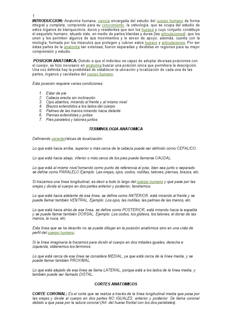 Anatomia Humana | PDF