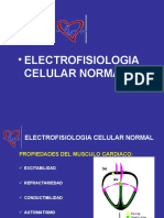 Potencial de Accion - RDM