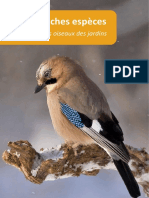 Guide Des Oiseaux de Jardins