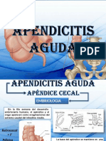 APENDICITIS Páginas 2 15