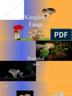 Chapter 27 Fungi