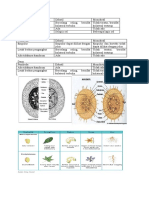 Akar PDF Iodajosiiodwaoidhoiwadd