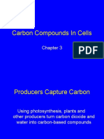 Carbon Compounds in Cells