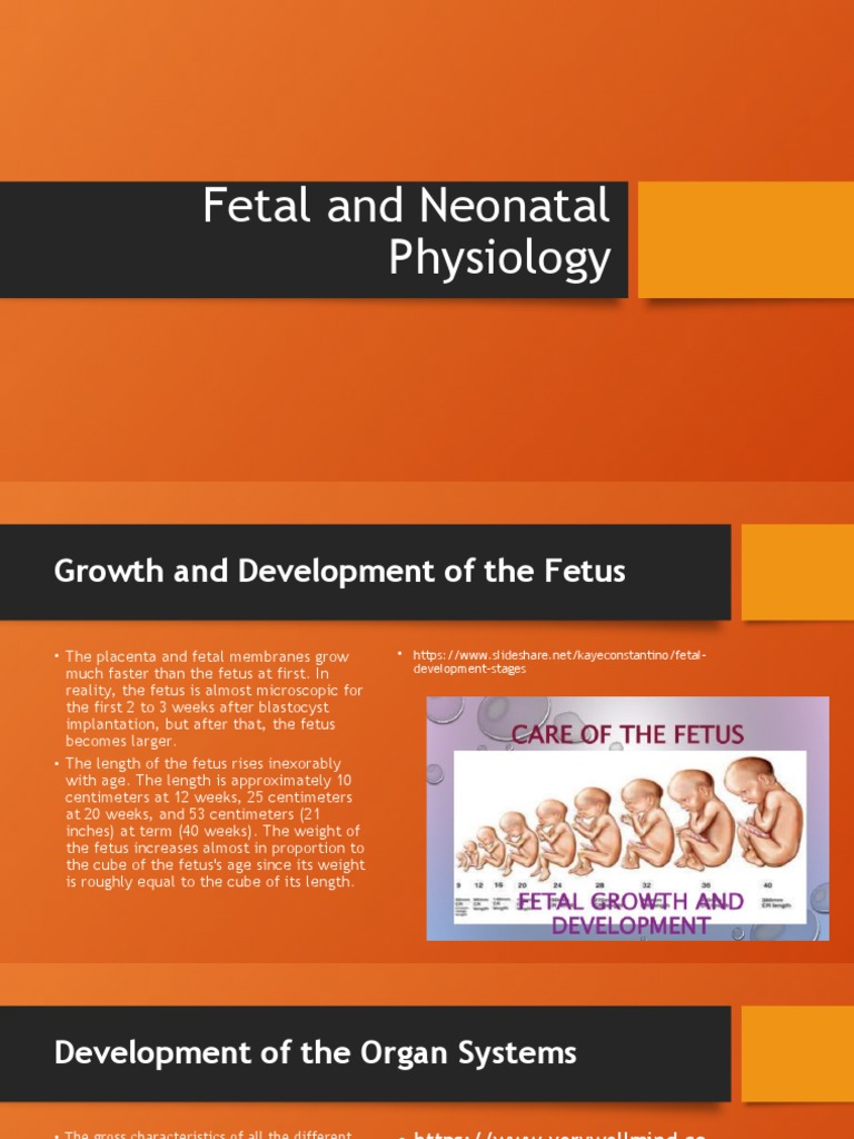 Fetal and Neonatal Physiology Overview | PDF | Fetus | Blood
