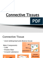 Connective Tissues Mine
