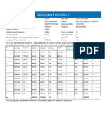 Repayment Report