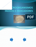 Microorganismos Indices e Indicadores