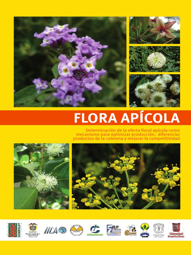 Flora Apicola PDF Apicultura Colmena