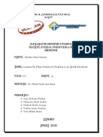 PDF Analisis de Casos Penales en Relacion a La Teoria Del Delito Compress
