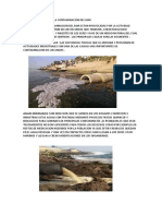 Principales Causas de La Contaminacion Del Mar