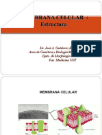 MEMBRANA CELULAR I