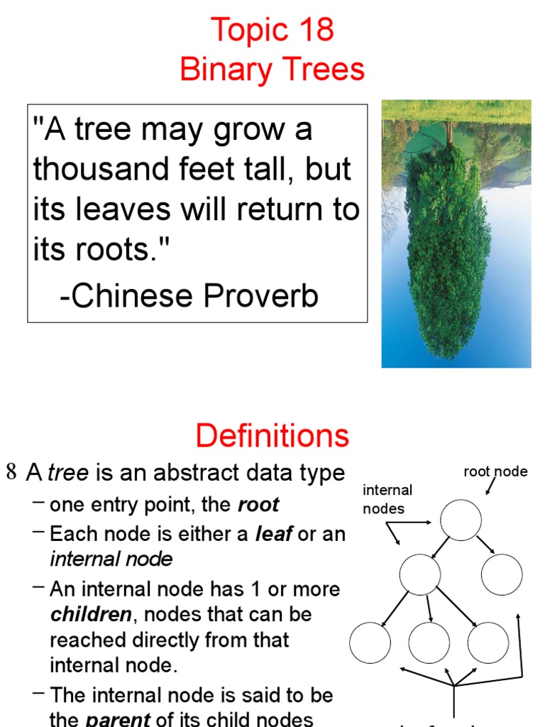 "A Tree May Grow A Thousand Feet Tall, But Its Leaves Will Return To ...