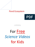 Pond Ecosystem: Free Science Videos For Kids