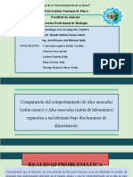 gRUPO 1 TEMA, REALIDAD PROBLEÁTICA Y PLANTEAMIENTO DEL PROBLEMA - MIC - 2020-I - ESCUELA PROFESIONAL DE BIOLOGÍA