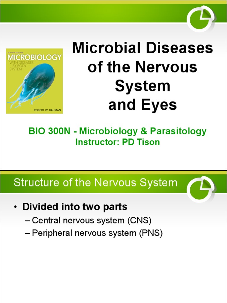 Microbial Diseases of The Nervous System and Eyes | PDF | Meningitis ...