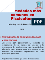 Enfermedades Mas Comunes en Piscicultura