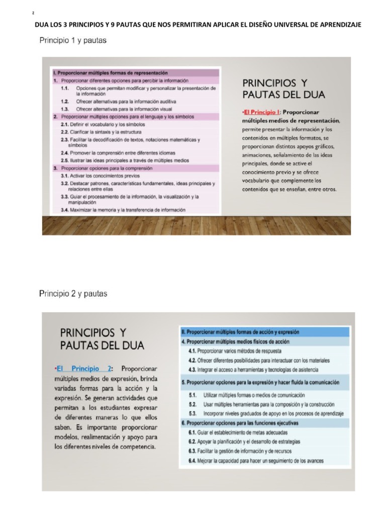 Dua Los 3 Principios y 9 Pautas Que Nos Permitiran Aplicar El Diseño ...