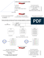 Documento Kafka