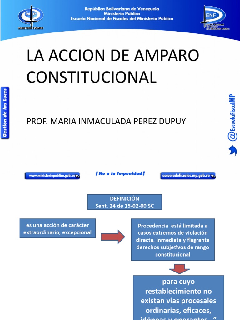 Acción de Amparo Constitucional en Perú | PDF | Habeas corpus ...