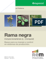 LibroREM RamaNegra