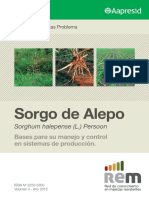 LibroREM Sorgo