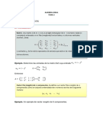 ALGEBRA LINEAL Tema2