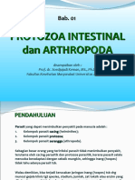 Bab 01. Protozoa Interstinal Dan Arthropoda