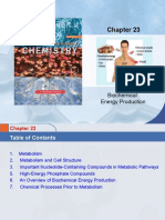 Biological Energy Production