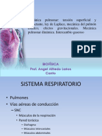 Sistema Respiratorio Biofisica