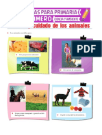 Utilidad y Cuidado de Los Animales para Primero de Primaria